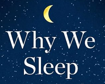 5 Steps to Reclaim Your Sleep Based on Why We Sleep